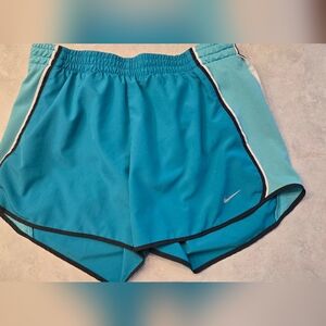 Cute Ladies Blue/Green Nike Dri Fit Shorts. Size Small